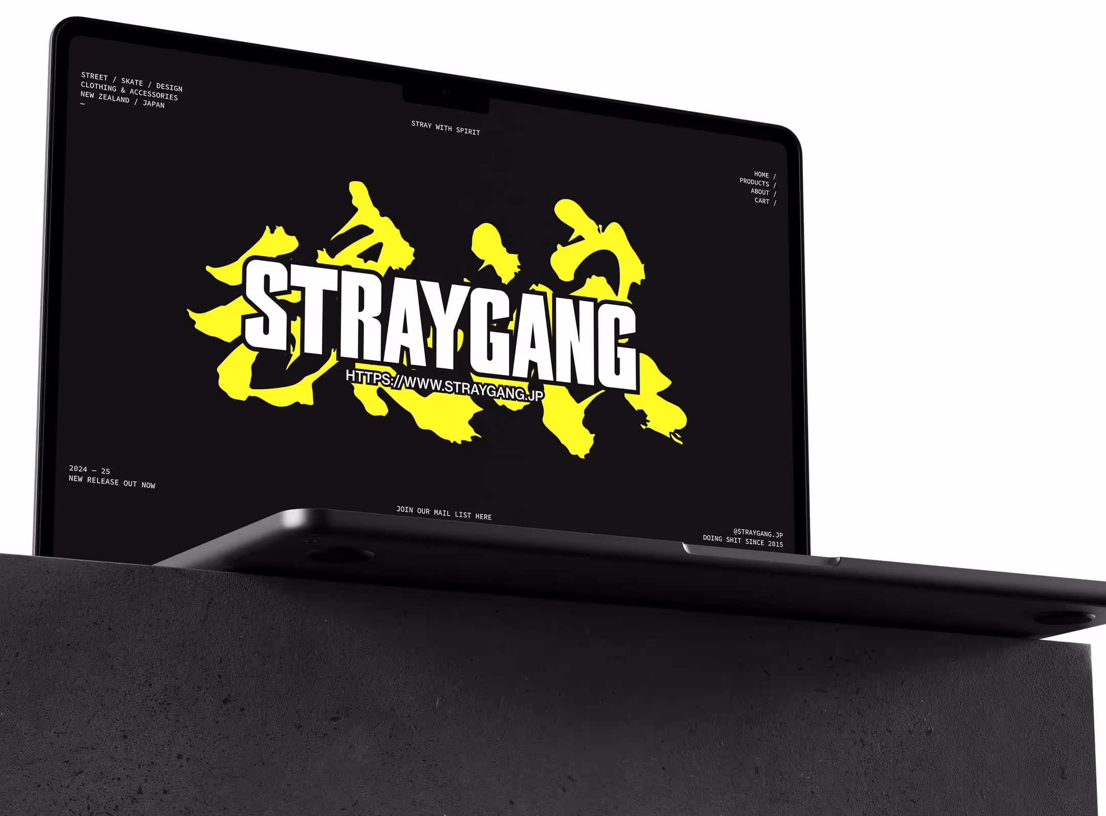 A computer screen featuring the Straygang website, mainly showcasing the logo and some supporting elements.